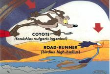 Road Runner Artwork by Chuck Jones Road Runner Artwork by Chuck Jones Famishius Vulgaris